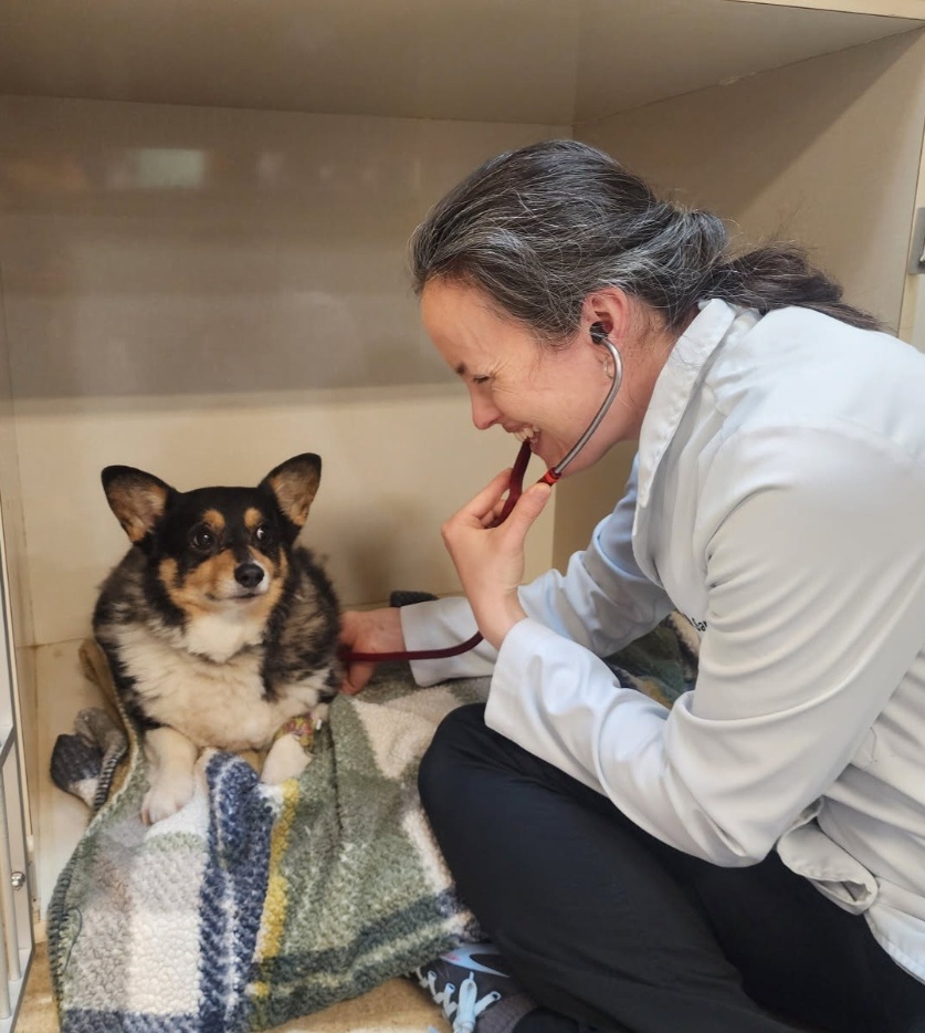 Thorough examinations at every visit.