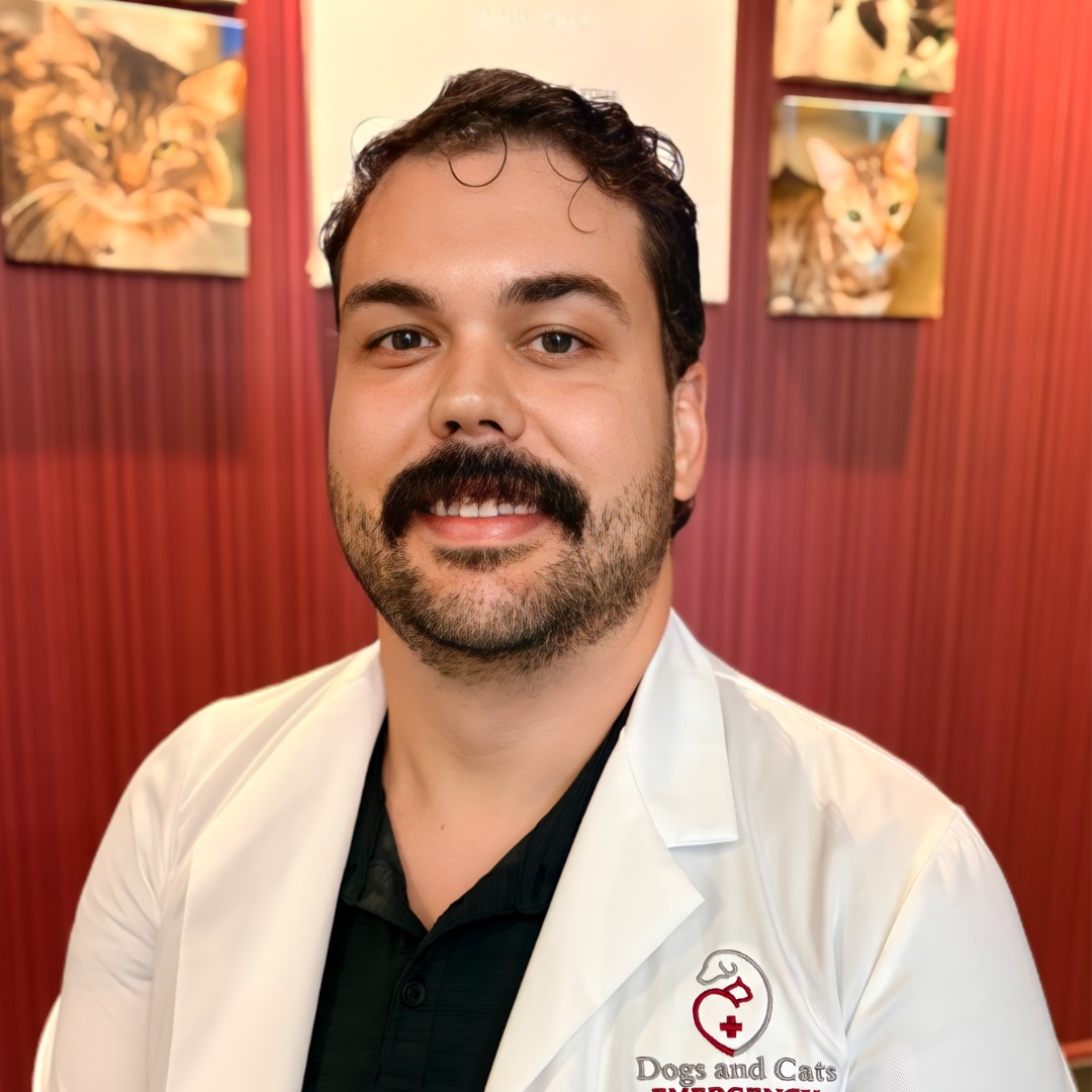 Dr. Andrews