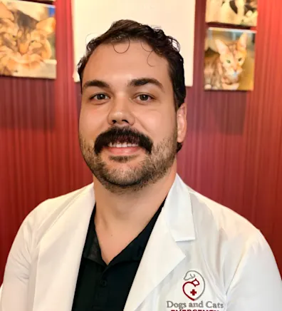 Dr. Andrews Dr. Andrews