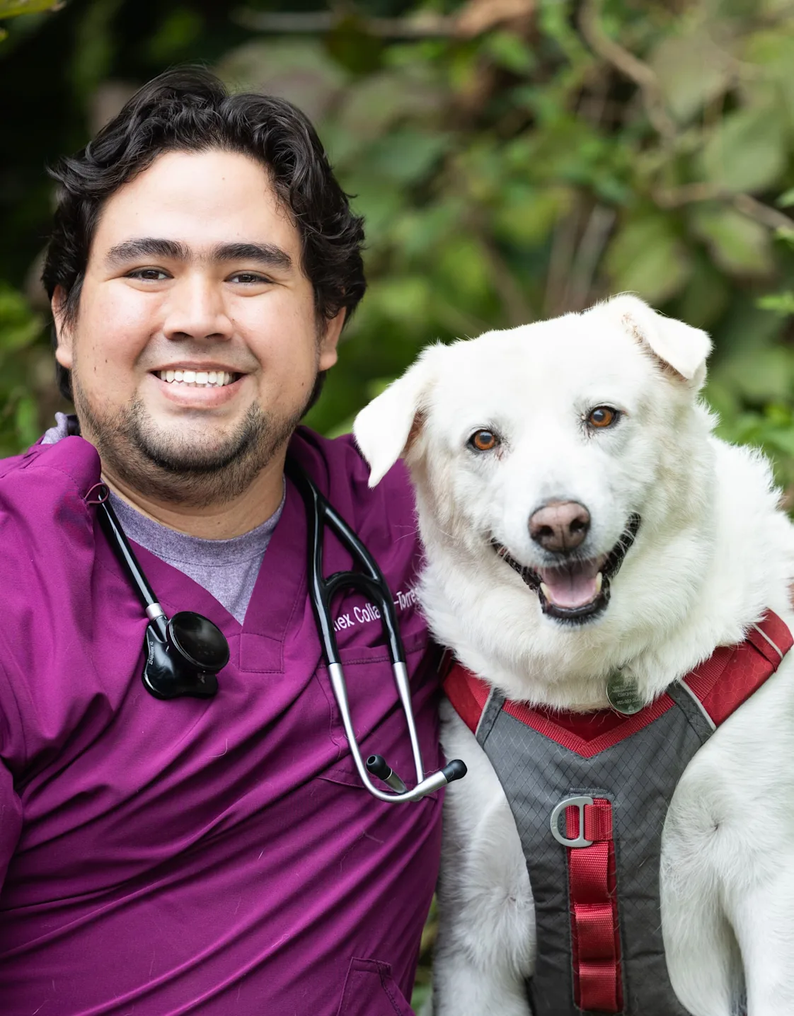 Dr. Alex Dr. Alex