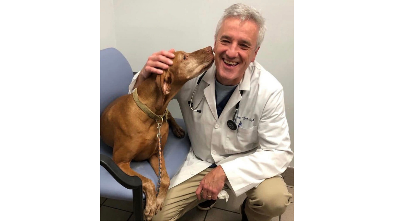 Brown Dog Kissing DVM