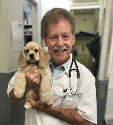 Dr. Bob Watson, vet at Eglinton Veterinary Facilities Dr. Bob Watson, vet at Eglinton Veterinary Facilities