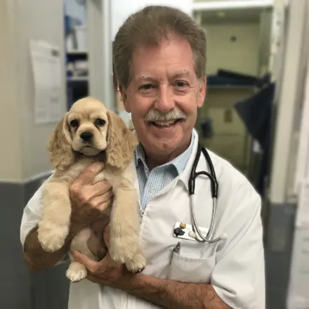 Dr. Bob Watson, vet at Eglinton Veterinary Facilities