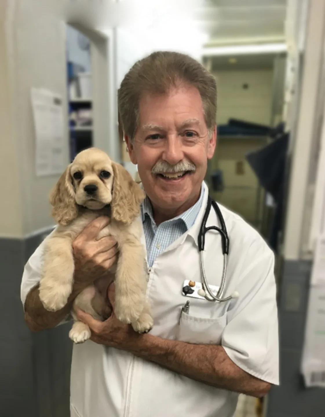 Dr. Bob Watson, vet at Eglinton Veterinary Facilities Dr. Bob Watson, vet at Eglinton Veterinary Facilities