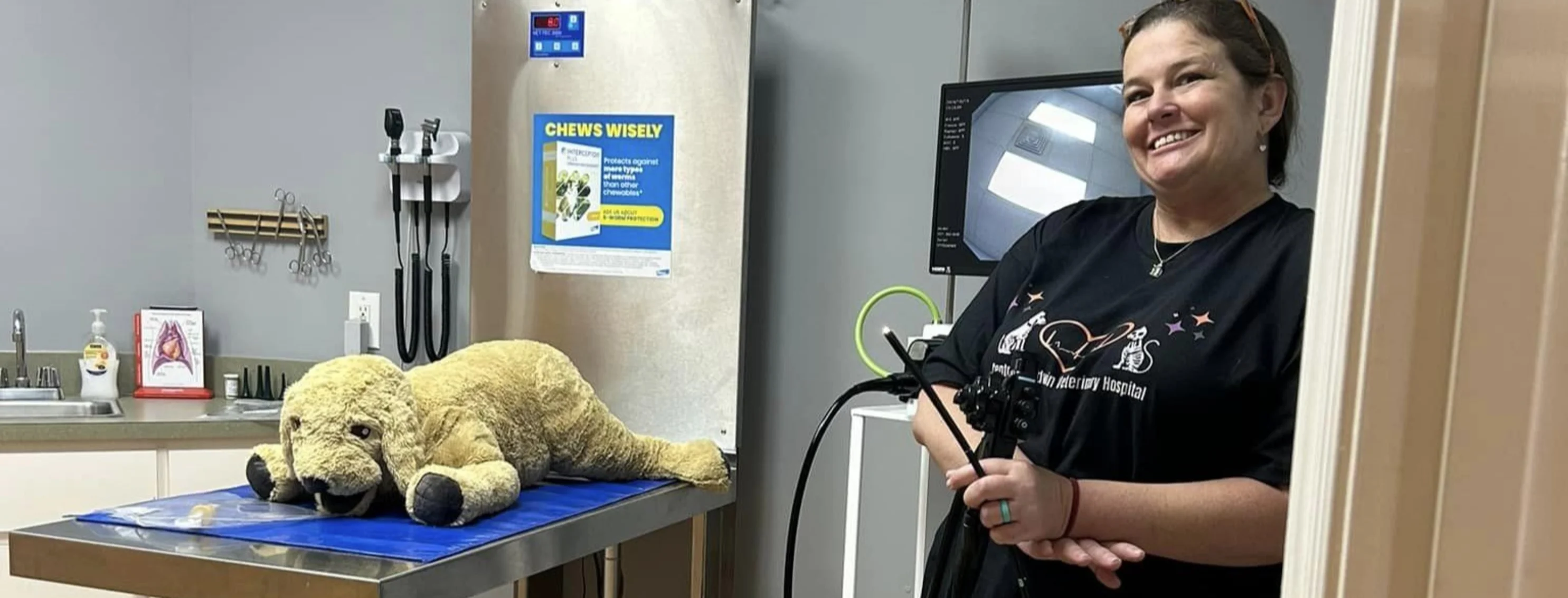 Veterinarian doing pretend exam on plush toy Veterinarian doing pretend exam on plush toy