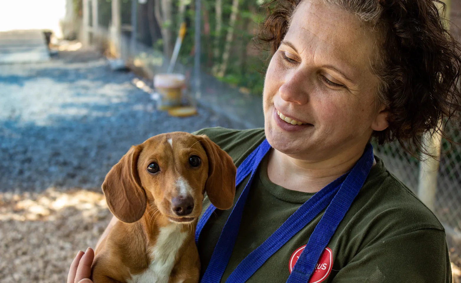 Dog and trainer Dog and trainer