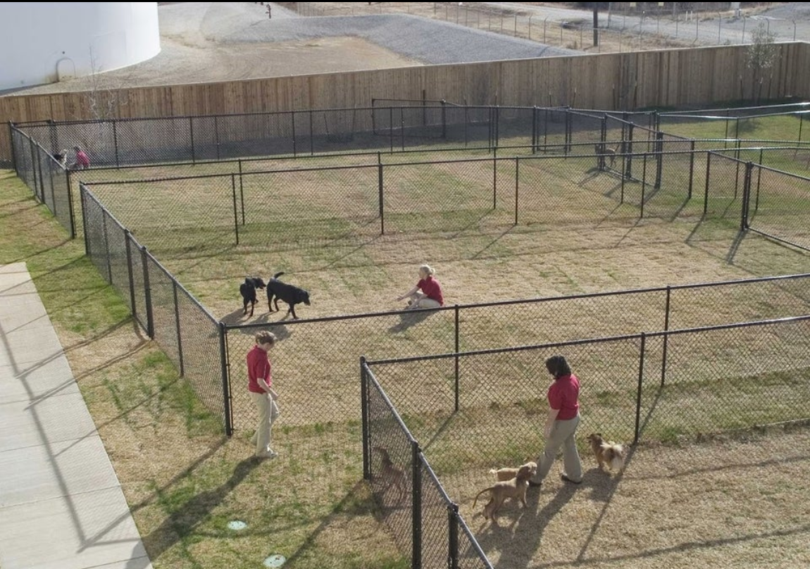 Elite Suites Outdoor Exercise Areas