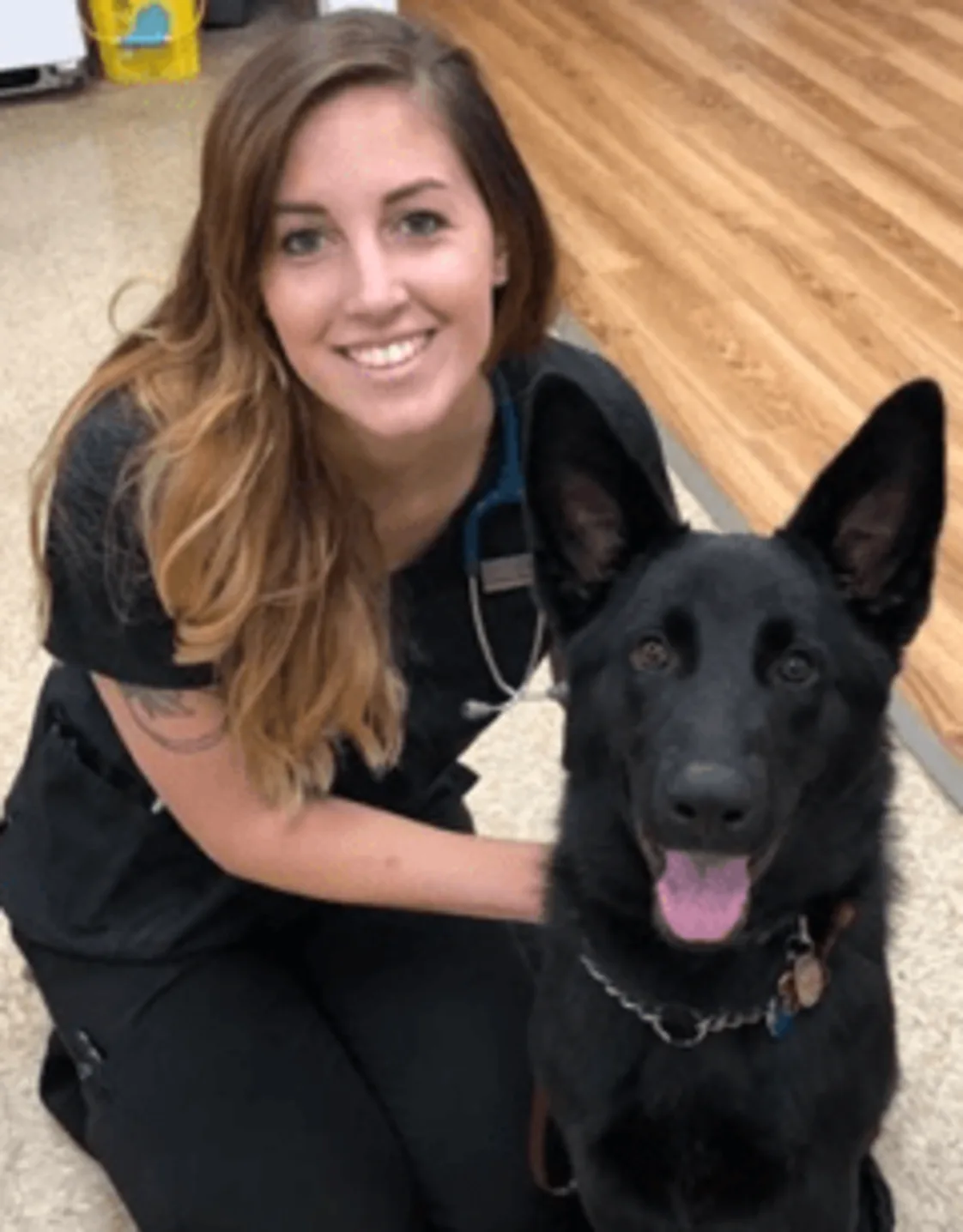 Casey at City Creatures Animal Hospital NY Casey at City Creatures Animal Hospital NY