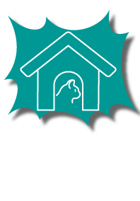 Icon of a cat in a house on a teal background