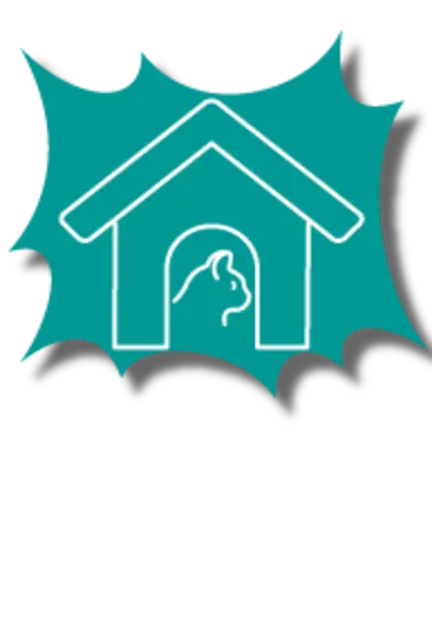 Icon of a cat in a house on a teal background