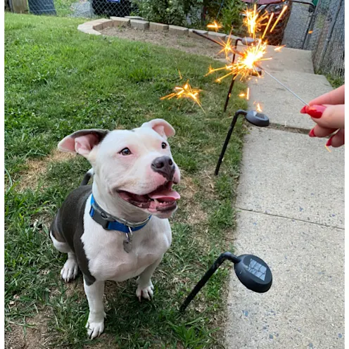 Bruno Brunner Bruno Brunner