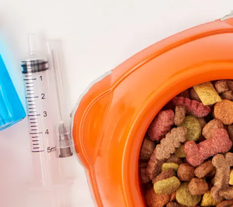 Pharmacy Items - Ball - Food - Medicine Pharmacy Items - Ball - Food - Medicine