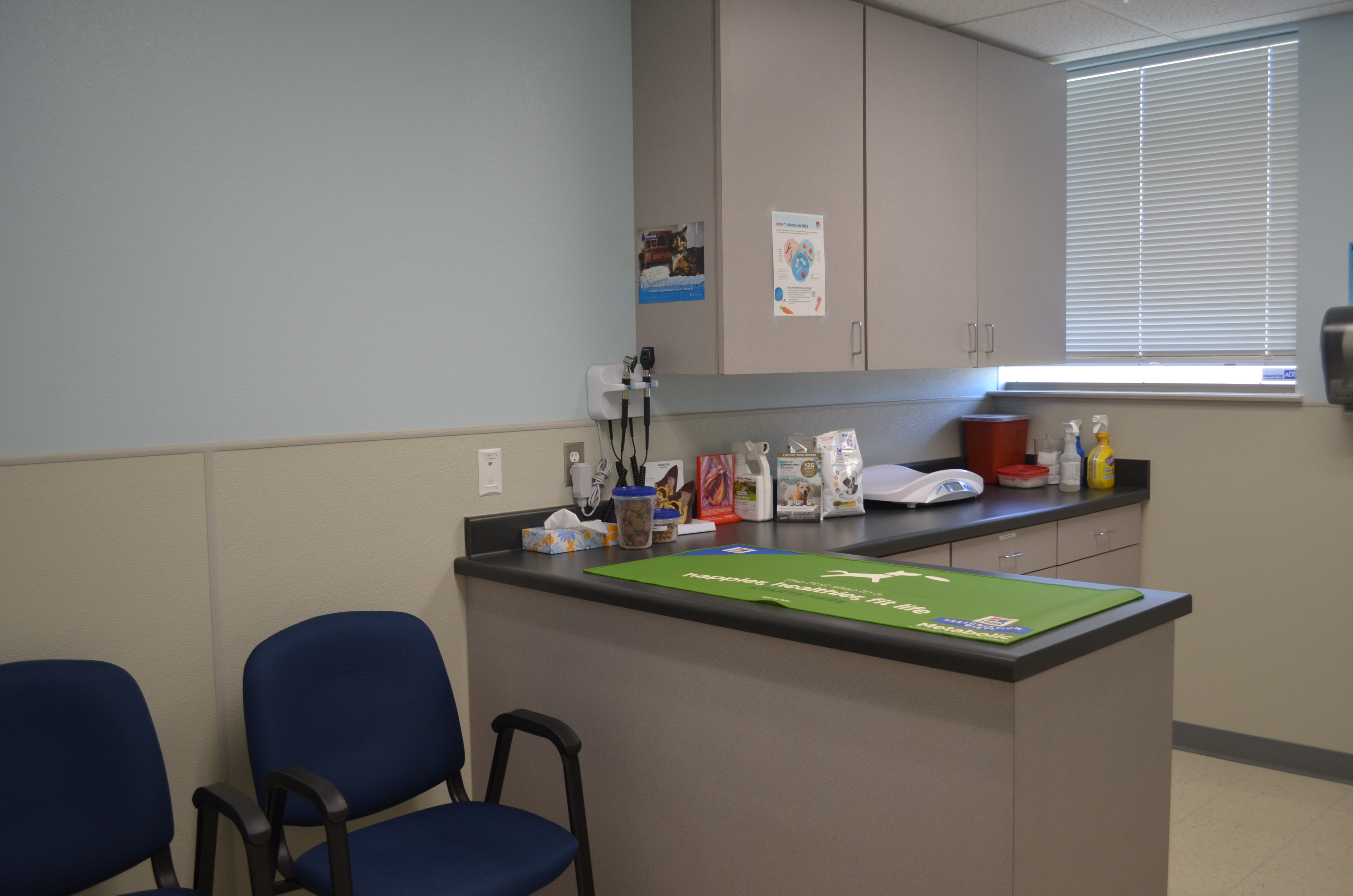 St. Francis Veterinary Hospital - Exam Room