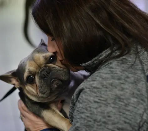 Microchipping at Animal Medical Center of Hattiesburg. Microchipping at Animal Medical Center of Hattiesburg.