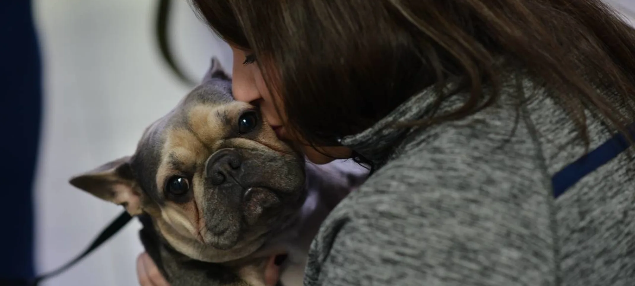 Microchipping at Animal Medical Center of Hattiesburg. Microchipping at Animal Medical Center of Hattiesburg.
