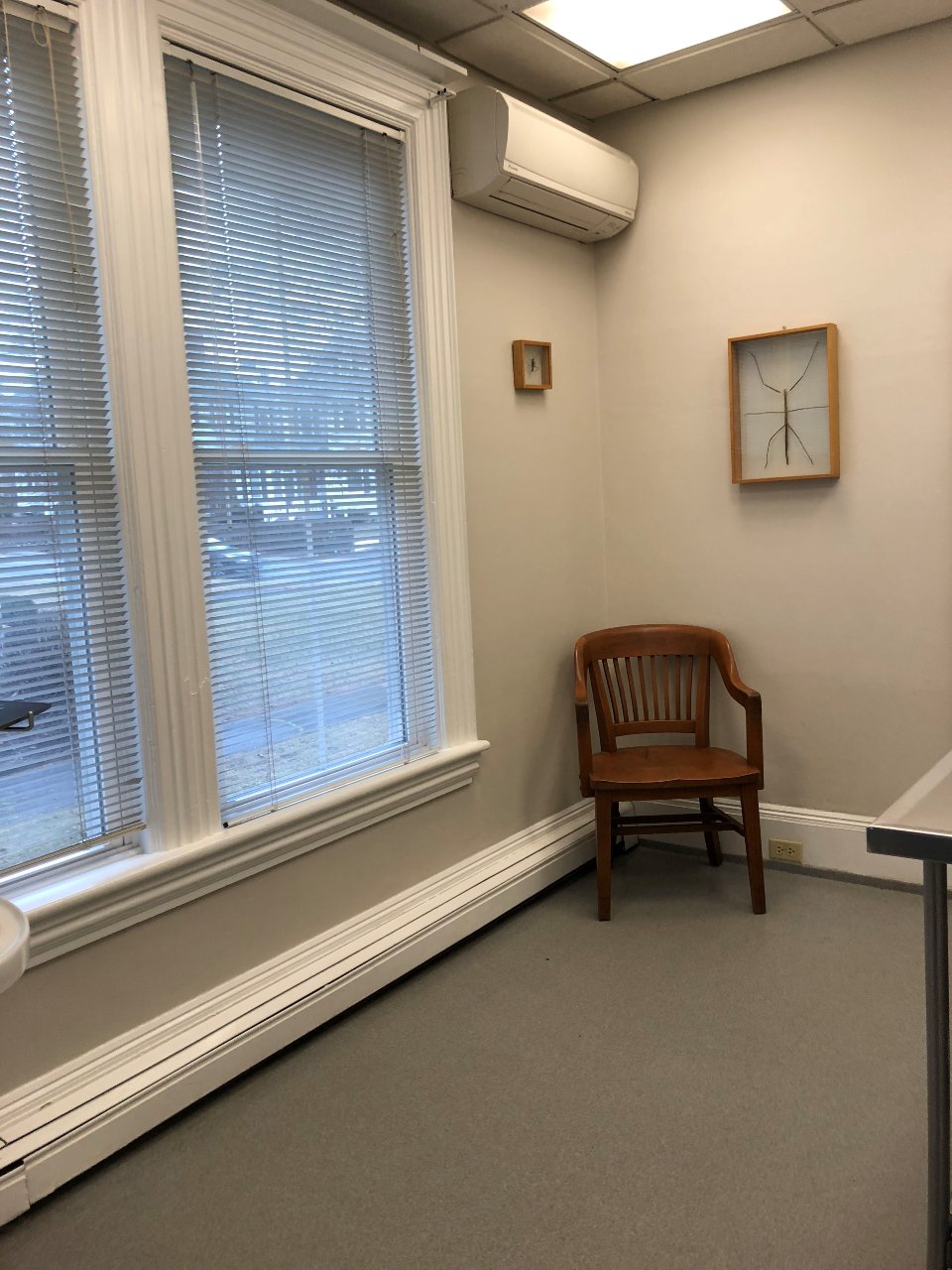 Exam room and examination area with table at Court Street Animal Hospital