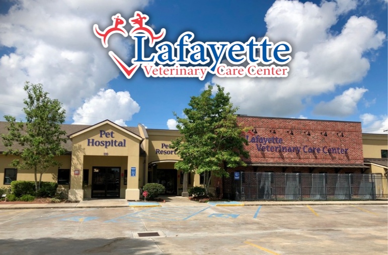 Lafayette Veterinary Care Center building exterior