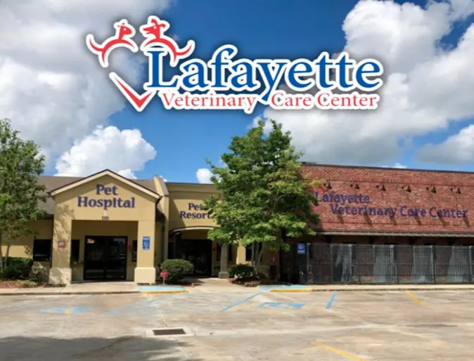 Lafayette Veterinary Care Center building exterior Lafayette Veterinary Care Center building exterior