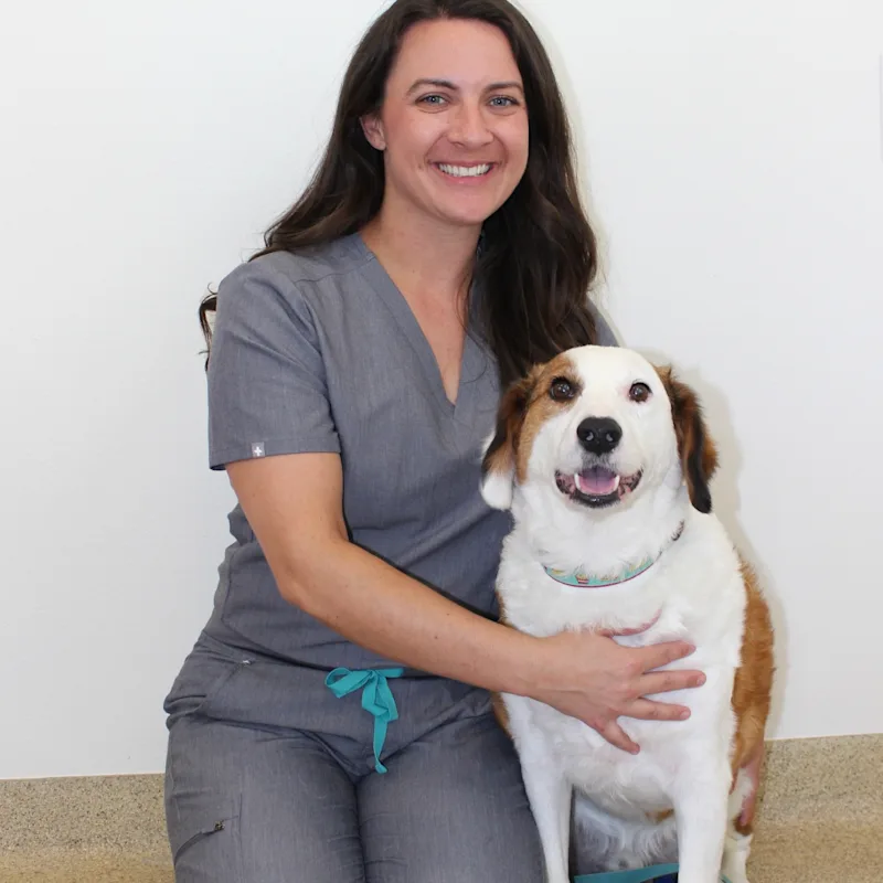 Dr. Kelly Schwaner smiling kneeling down next to a brown and white dog Dr. Kelly Schwaner smiling kneeling down next to a brown and white dog