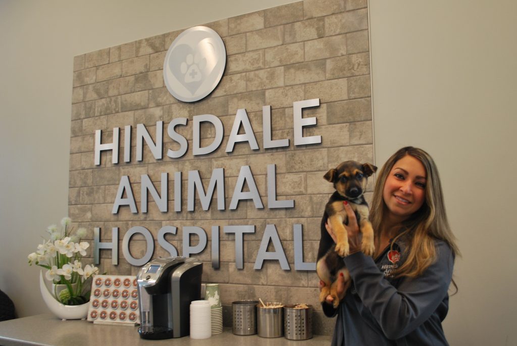 Veterinarian in front of Hinsdale Sign with Puppy