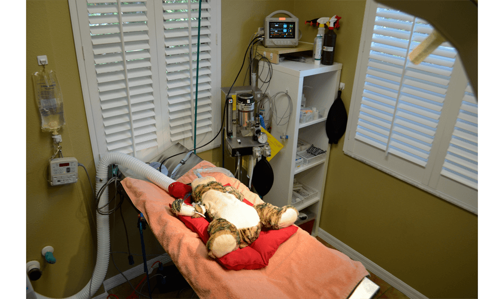 Critical Care/Surgical Center - Surgery Equipment