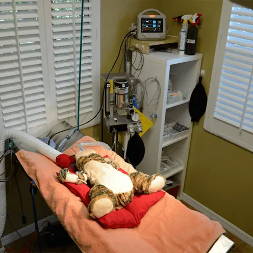 Critical Care/Surgical Center - Surgery Equipment Critical Care/Surgical Center - Surgery Equipment