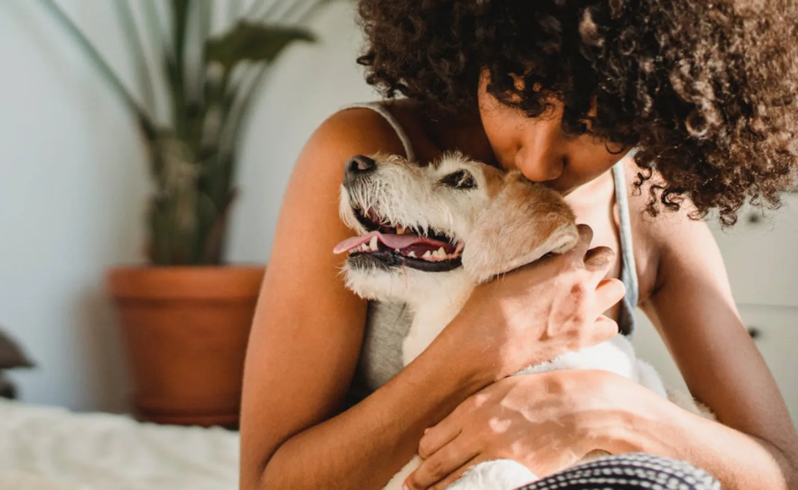 Lady hugging dog Lady hugging dog