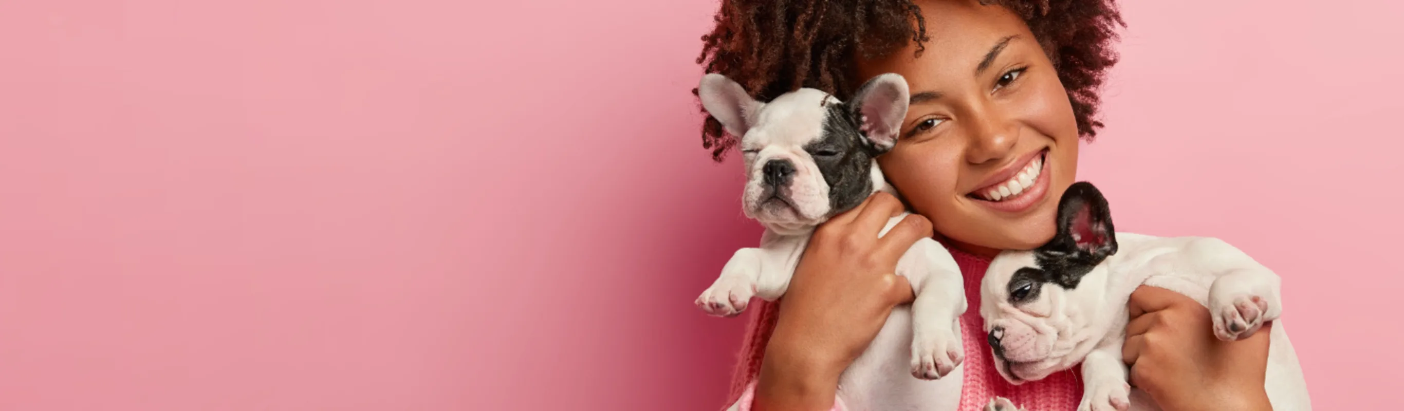 Woman Holding Two Puppies - Pink Background Woman Holding Two Puppies - Pink Background