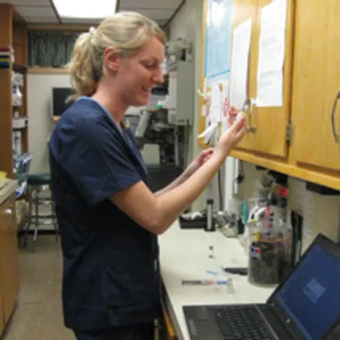 Blair Animal Hospital Blair Animal Hospital