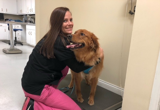 Chesterfield Animal Hospital Staff member holding dog