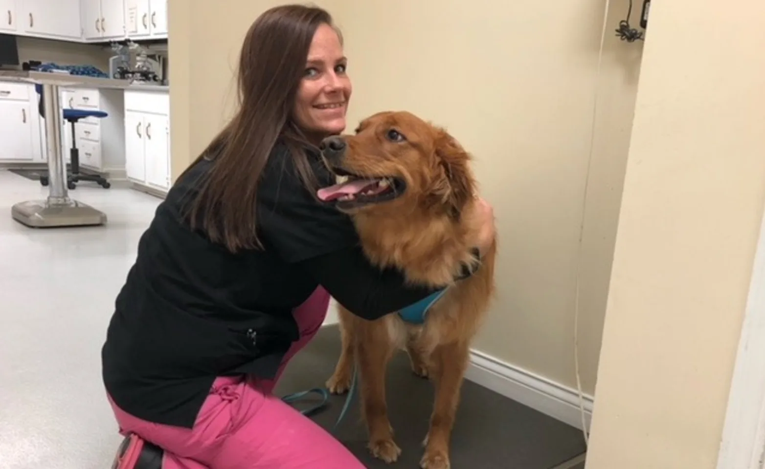 Chesterfield Animal Hospital Staff member holding dog