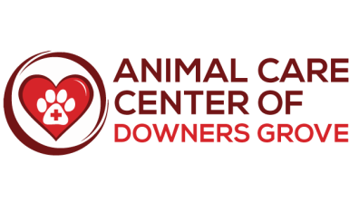 1232 Animal Care Center of Downers Grove - Header Logo Rectangle