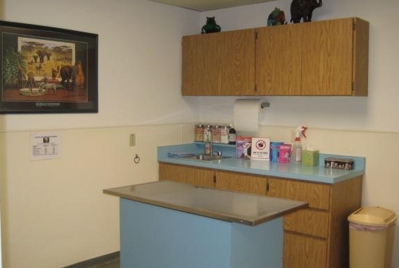 Merced Animal Medical Center Examination Room