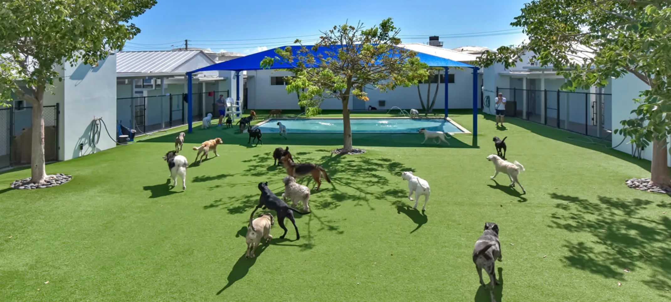 Lauderdale Pet Lodge Yard Area