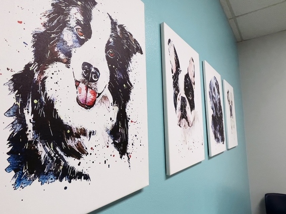 Dog Room Wall Art