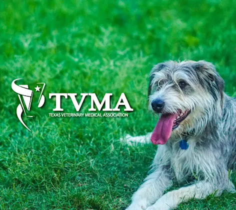 TVMA TVMA