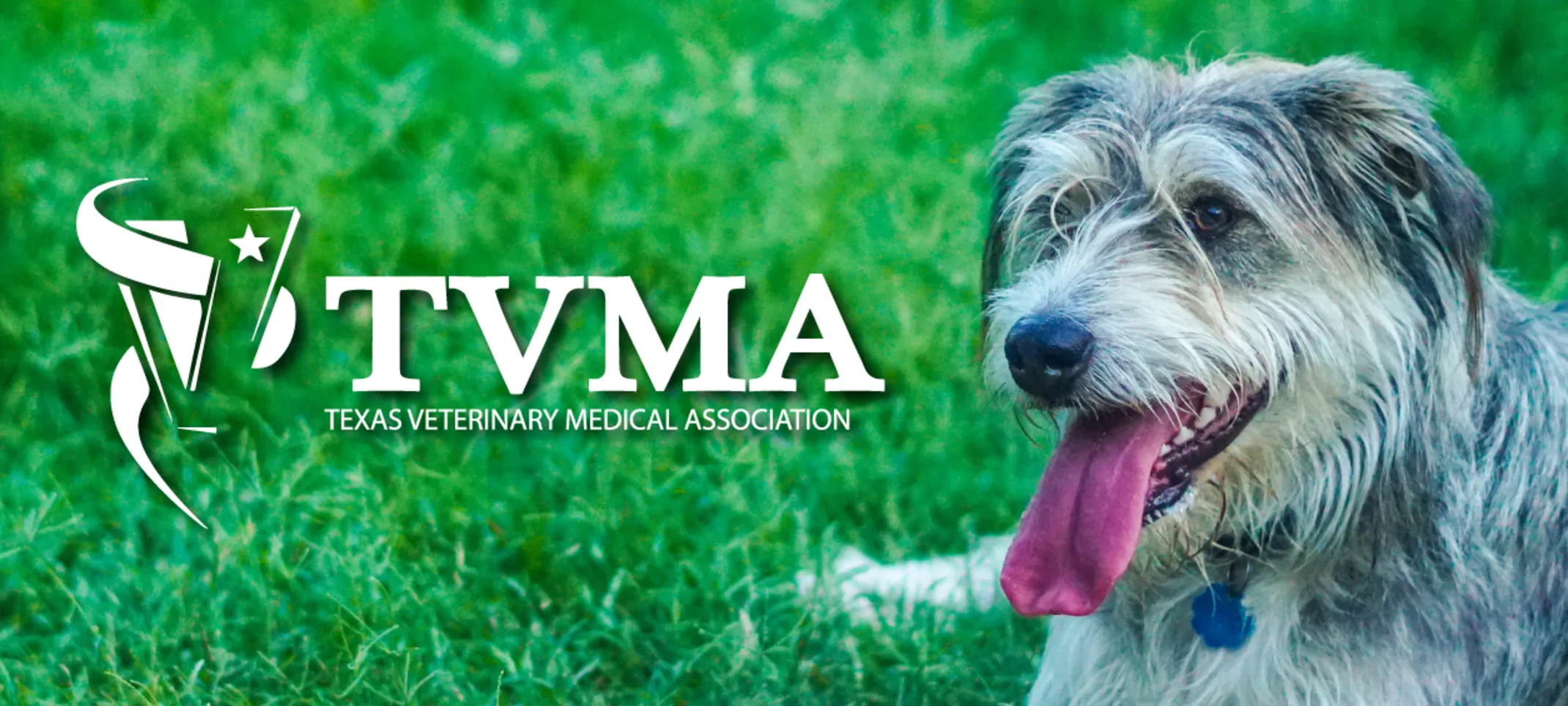 TVMA TVMA