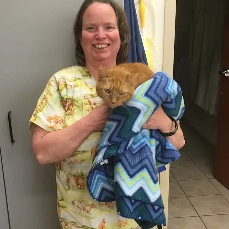 Nancy Simmons Nancy Simmons