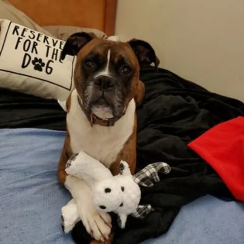 Tyson Drennen Tyson Drennen