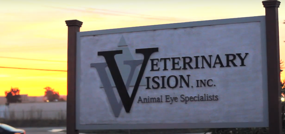 Veterinary Vision Video