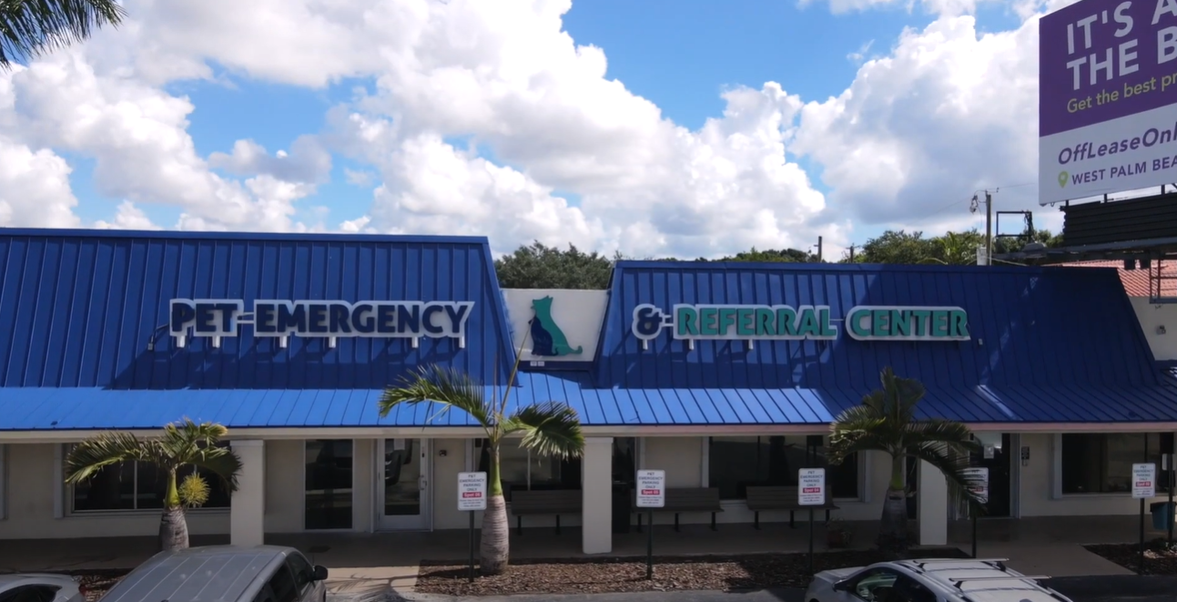 Join Our Team video image of the parking lot view of Pet Emergency & Referral Center