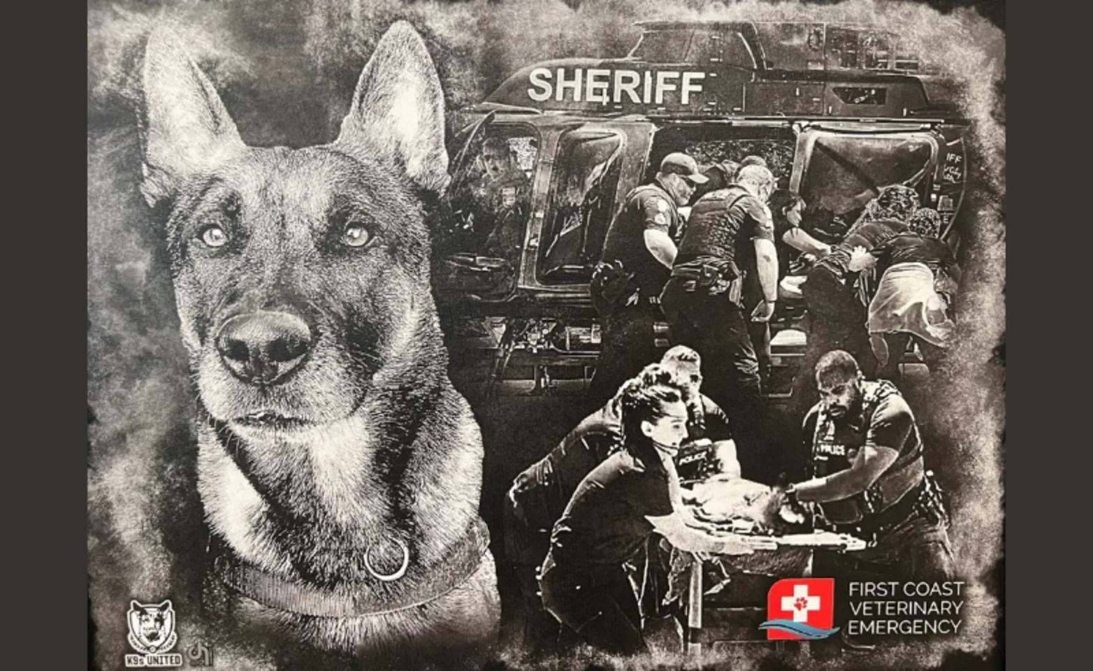 Doctors, Dogs, and Police Helping Patient Doctors, Dogs, and Police Helping Patient