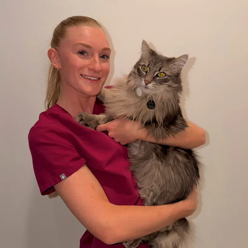 Deanne Urbanski, DVM Deanne Urbanski, DVM