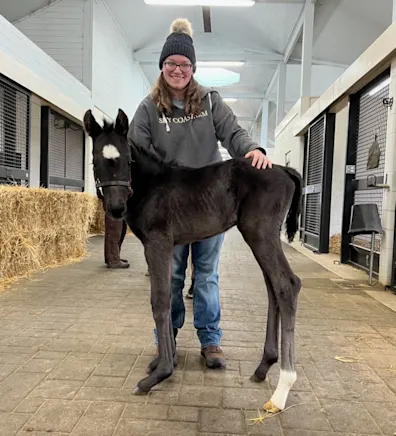 Megan Green Megan Green