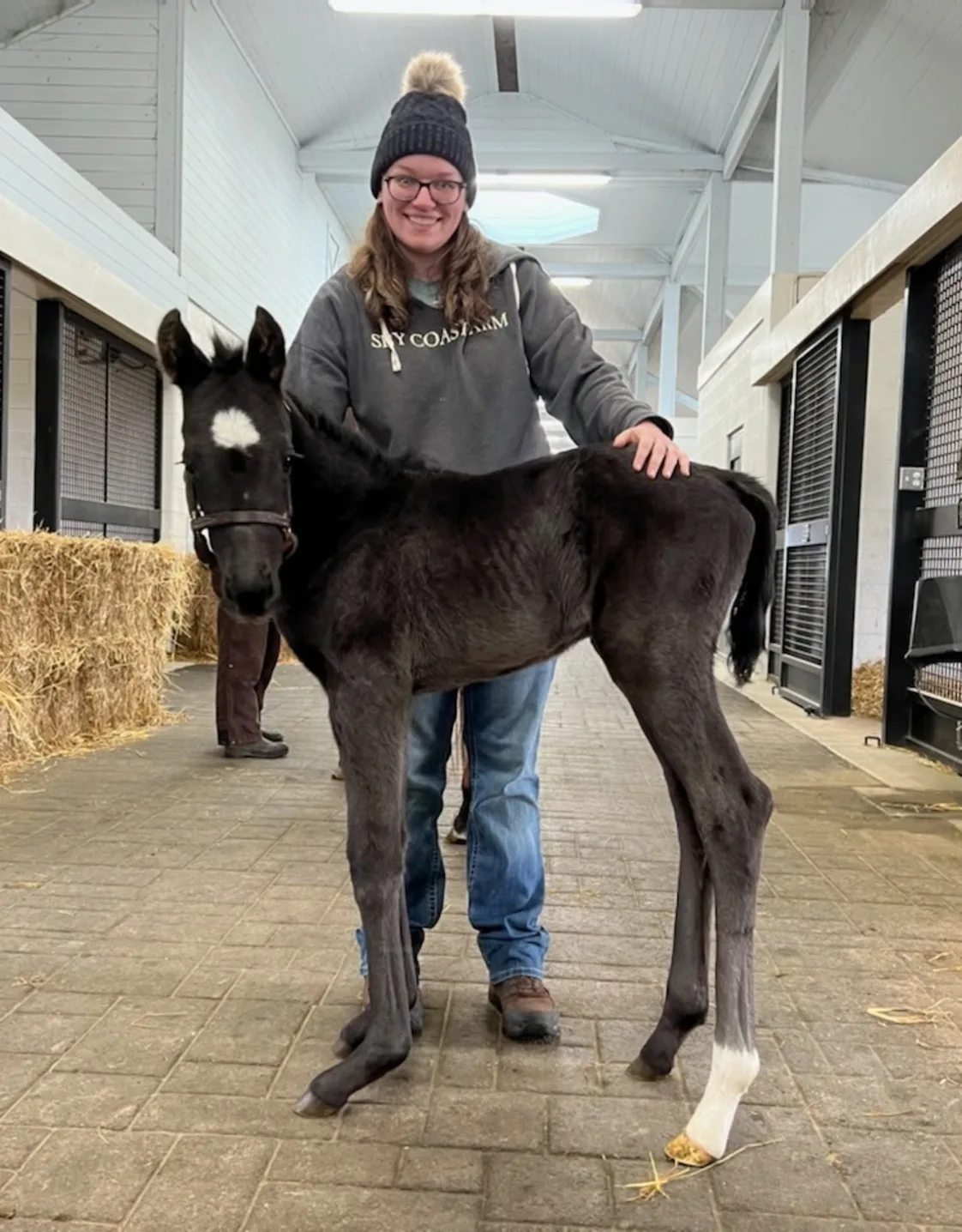 Megan Green Megan Green