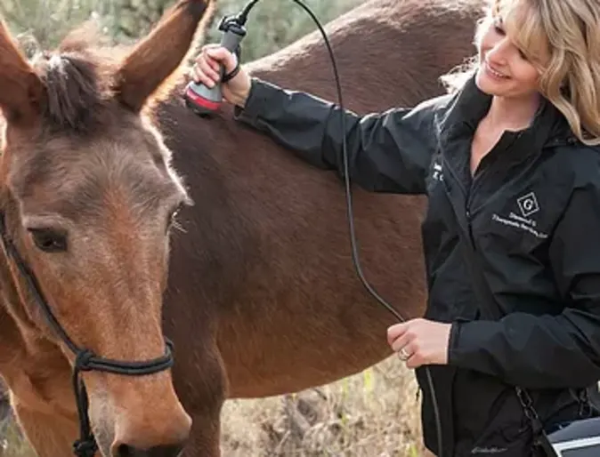 Woman smiling at horse Woman smiling at horse