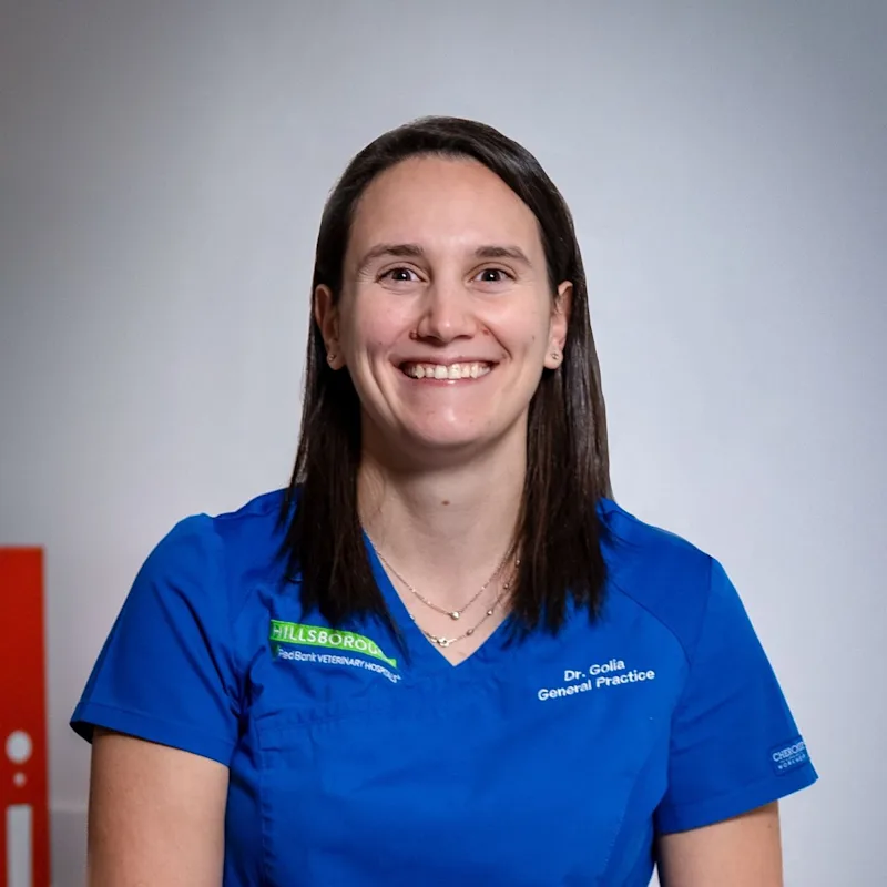 Krista Golia Krista Golia