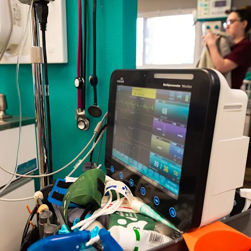 Diagnostic Equipment at The Valley Veterinary Hospital Diagnostic Equipment at The Valley Veterinary Hospital