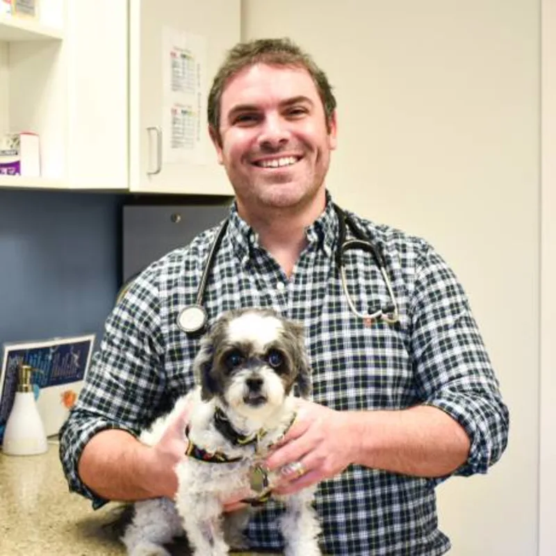 Portrait image of Dr. Steven Epstein Portrait image of Dr. Steven Epstein