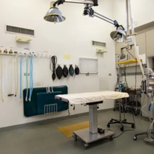 Surgery Room Surgery Room